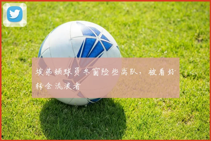 埃弗顿球员冬窗险些离队，被看好转会流浪者