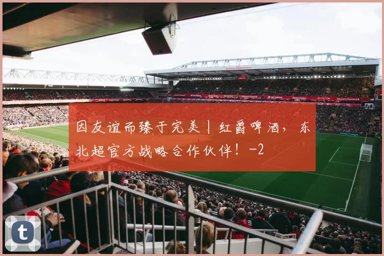因友谊而臻于完美丨红爵啤酒，东北超官方战略合作伙伴！